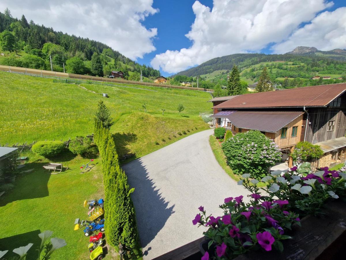 Urlaub Am Krausberghof, Apartment Mit Balkon Und Parkplatz, Inmitten Der Natur, Sauna Und Infrarotkabine, Kostenfreie Kaffeekapseln, 6 Fahrminuten Zur Alpentherme Gastein Und Zur Schlossalmbahn, Spielplatz Bad Hofgastein Luaran gambar